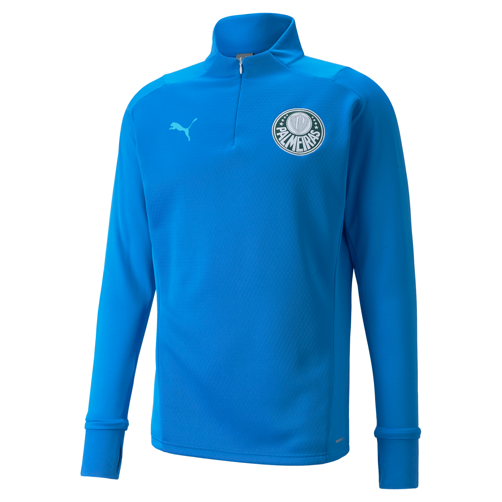 Blusa Treino Fleece Palmeiras Puma 22/23