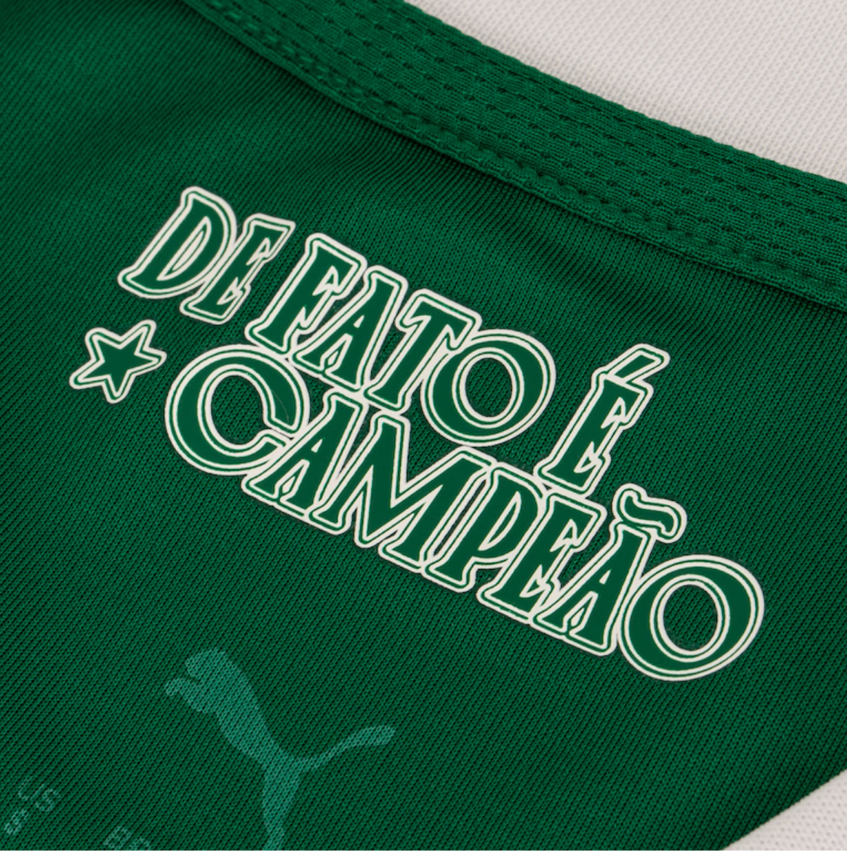 Camisa Palmeiras 25/26 - Feminina Puma | Super Mundial