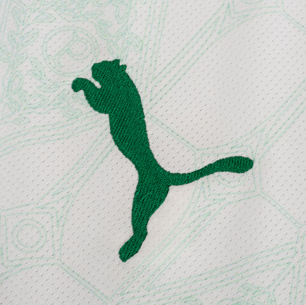 Camisa Palmeiras ll 25/26 - Puma Jogador