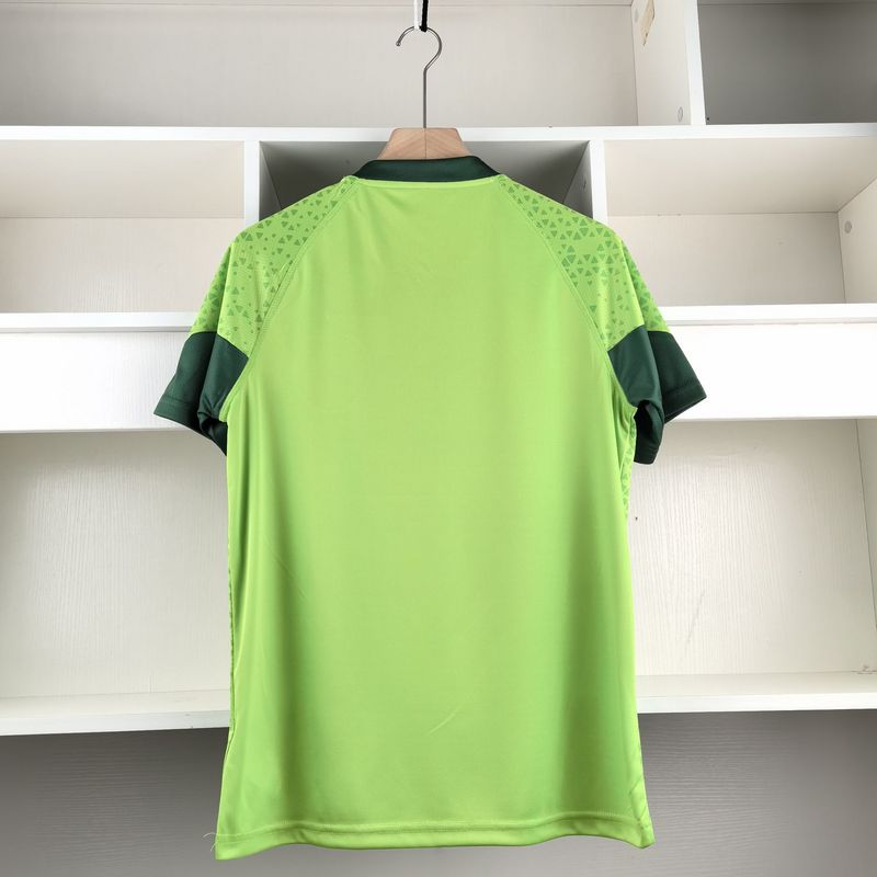Camisa Palmeiras 24/25 - Treino