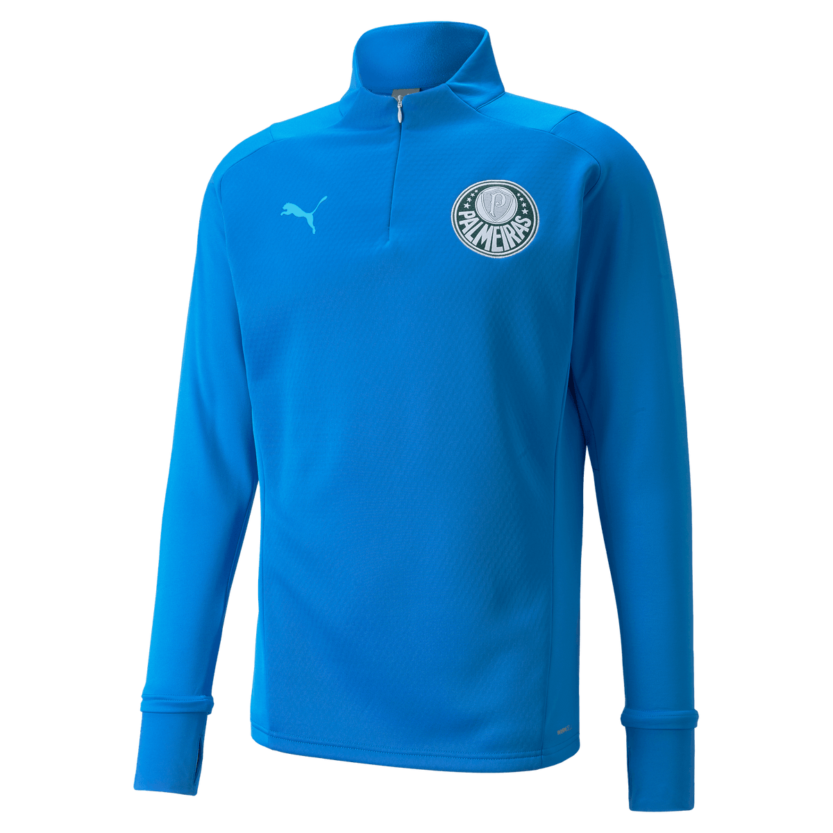 Blusa Treino Fleece Palmeiras Puma 22/23